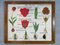 intage Poster per la scuola Botanica in cornice intercambiabile, Immagine 9