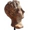 Teste di Apollo in terracotta, XX secolo, set di 2, Immagine 4