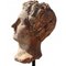 Teste di Apollo in terracotta, XX secolo, set di 2, Immagine 3