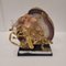 Figura Bonsai del Cairo, Egitto, XX secolo, Immagine 5