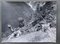 Bernard Darot, Printemps en montagne, 20th Century, Silver Gelatin Print, Image 1