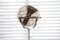 Globe 2000 Floor Lamp by Frank Ligtelijn for Raak, 1950s 3