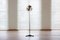 Globe 2000 Floor Lamp by Frank Ligtelijn for Raak, 1950s 2