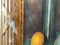 S. Ronni, Still Life of Grapes, Book and Poppies, 1950s, Oil on Canvas, Framed, Image 12