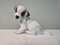 Porcelain Model 1121 Terrier Puppy Dog Figurine by Theodor Kärner for Rosenthal, Germany, 1950s 1