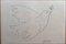 Pablo Picasso, Combat Pour La Paix, 1961, Lithographie 1