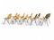 Chaises Vintage par Giancarlo Piretti pour Castelli, 1960s, Set de 10 4