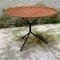 Teak Coffee Table with Curved Wooden Top by F.lli Tagliabue, 1950, Image 4