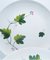 Set da dessert Ivy vintage di Villeroy & Boch, anni '50, set di 10, Immagine 7