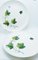 Set da dessert Ivy vintage di Villeroy & Boch, anni '50, set di 10, Immagine 5