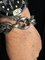Large Silver Coffee Bean Mesh Bracelet from Crab Hallmarks, 1970s, Image 1