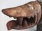 Large Antique Tribal Protective Figure, Image 13