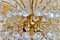 Chandelier in Lead Crystal 5