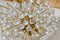 Chandelier in Lead Crystal 7