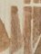 Tappeto moderno Beni Ouarain marocchino beige e marrone, Immagine 7