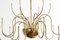 Mesa 18 Chandelier in Brass by Florian Schulz 6