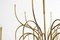 Mesa 18 Chandelier in Brass by Florian Schulz 7