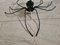 Applique Murale Spider Vintage Murano, Italie, 1950s 3