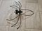 Applique Murale Spider Vintage Murano, Italie, 1950s 9