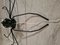 Applique Murale Spider Vintage Murano, Italie, 1950s 7