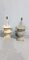 Late 19th Century Table Lamps, 1880s, Set of 2, Image 2