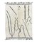 White Abstract Moroccan Berber Area Wool Rug 1