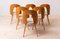 Mid-Century Dining Chairs attributed to A. Suman, 1960s, Set of 12 2