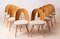 Mid-Century Dining Chairs attributed to A. Suman, 1960s, Set of 12 4