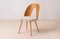 Mid-Century Dining Chairs attributed to A. Suman, 1960s, Set of 12 13