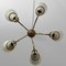 Lampadario Mid-Century modernista in ottone, betulla e vetro, Svezia, anni '40, Immagine 11