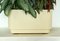 Vintage Plant Holder by Nena Balsari for Kartell, Italy, 1970s, Image 13