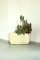 Vintage Plant Holder by Nena Balsari for Kartell, Italy, 1970s, Image 8