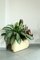 Vintage Plant Holder by Nena Balsari for Kartell, Italy, 1970s, Image 10