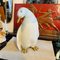 Hand-Crafted Porcelain Italian Figure of a Penguin from Ronzan, 1960s 2