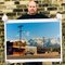 Richard Heeps, Lone Pine, Photographic Print, 2000 2