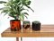 Cache-pots ou Jardinières en Céramique de Scheurich and Marei, Allemagne, 1960s, Set de 3 8