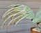 Antique Bronze Statue of a Rooster 10