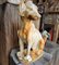 Antique Cast Iron Statue Dog 3