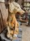 Antique Cast Iron Statue Dog 4
