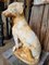 Antique Cast Iron Statue Dog 2