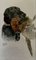 Raoul Millais, Working Dogs, 1960s, Watercolor, Image 3