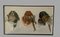 Raoul Millais, Working Dogs, 1960s, Watercolor, Image 2