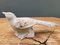 Cast Iron Statue Birds, Set of 2 3
