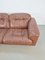 Vintage DS101 Zwei-Sitzer Ledersofa von de Sede, 1970er 4