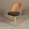 Mid-Century Dining Chairs from A. Suman, Set of 4, Image 7