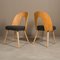 Mid-Century Dining Chairs from A. Suman, Set of 4, Image 9
