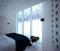 Reposapiés Iceland Flying Goose de Cuero Design, Imagen 4