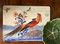 Rectangular Placemats with Birds by Corallina, Set of 6 3