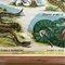 Poster da parete vintage della scuola greca con stampa su tela e rettili, anni '50, Immagine 5