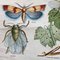 Poster da parete vintage scuola greca, Immagine 4